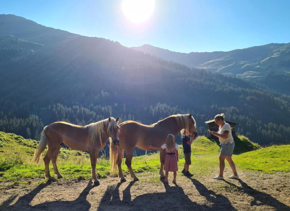 ホテル Brixnerhof Im Zillertal シュリッタース エクステリア 写真