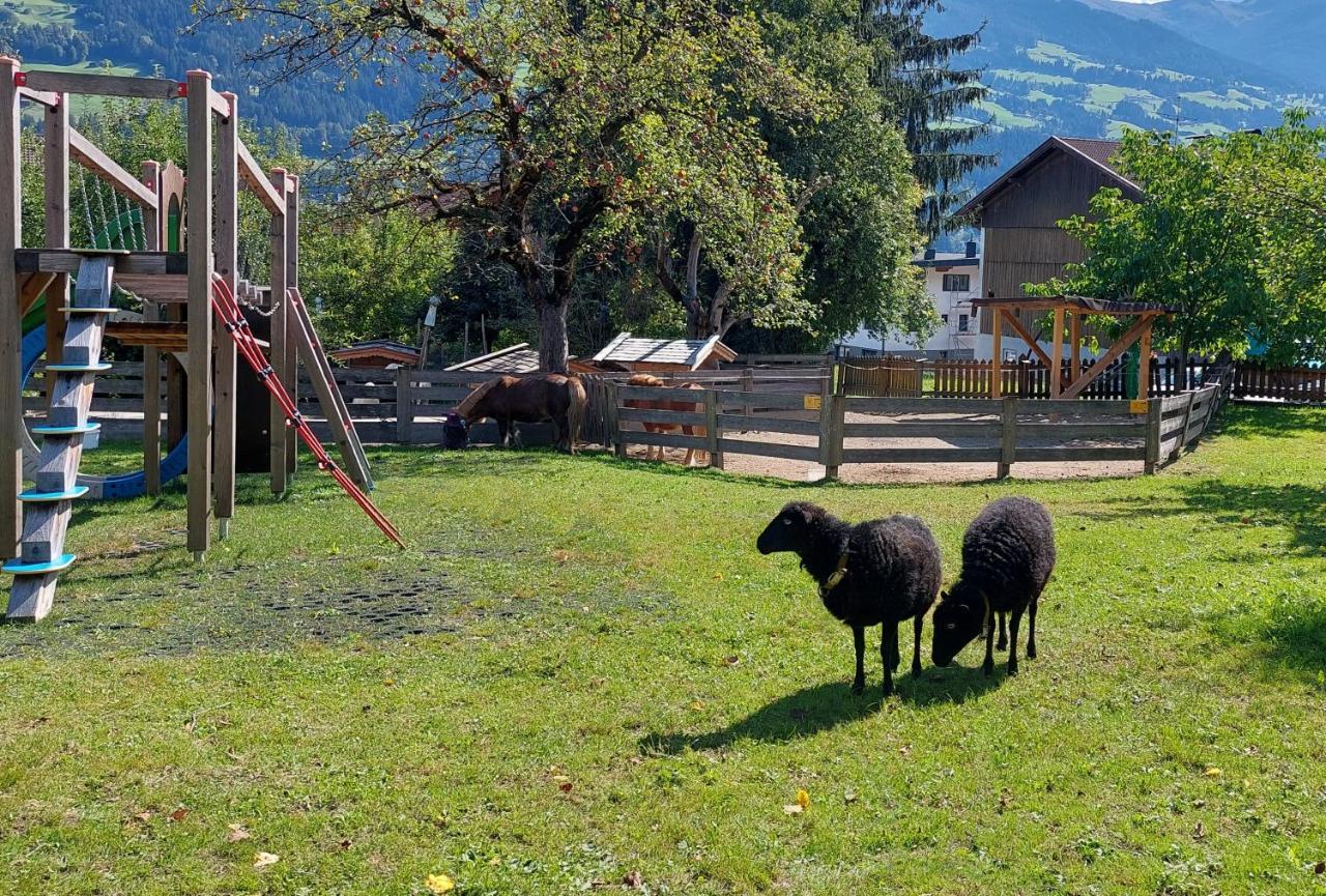 ホテル Brixnerhof Im Zillertal シュリッタース エクステリア 写真