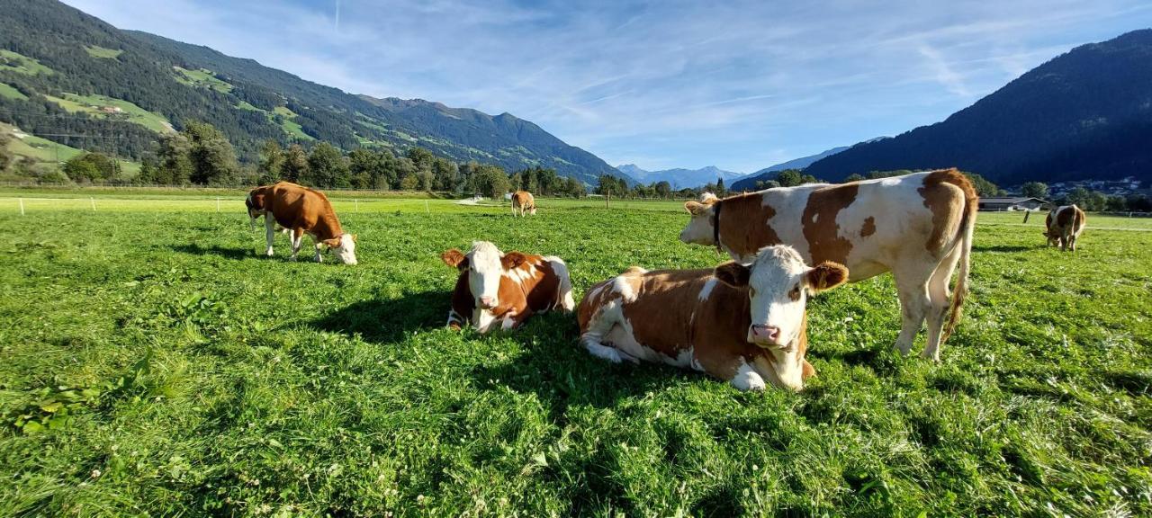ホテル Brixnerhof Im Zillertal シュリッタース エクステリア 写真