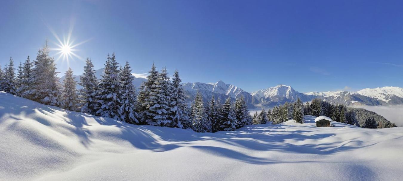 ホテル Brixnerhof Im Zillertal シュリッタース エクステリア 写真