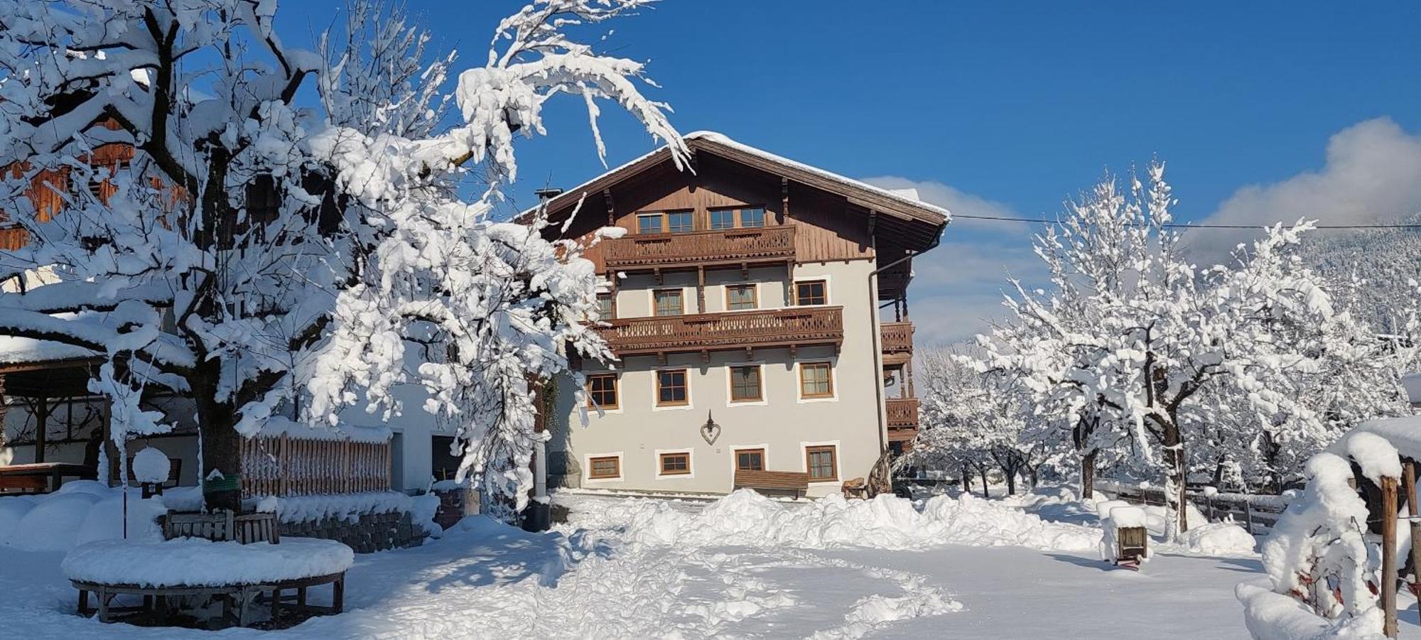 ホテル Brixnerhof Im Zillertal シュリッタース エクステリア 写真