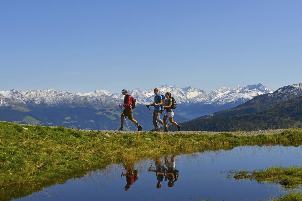 ホテル Brixnerhof Im Zillertal シュリッタース エクステリア 写真
